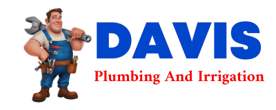 Trusted plumber in DRY PRONG